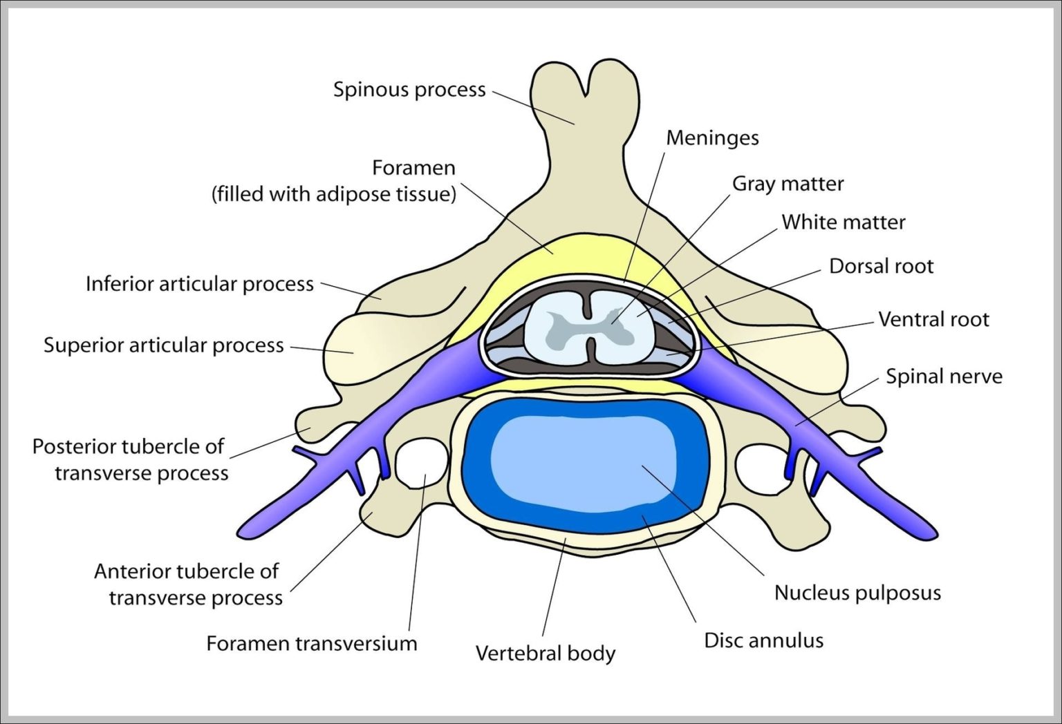roots Archives Graph Diagram