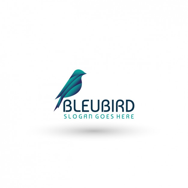 20+ Best Bird Logo Designs, Ideas and Examples Graphic Cloud