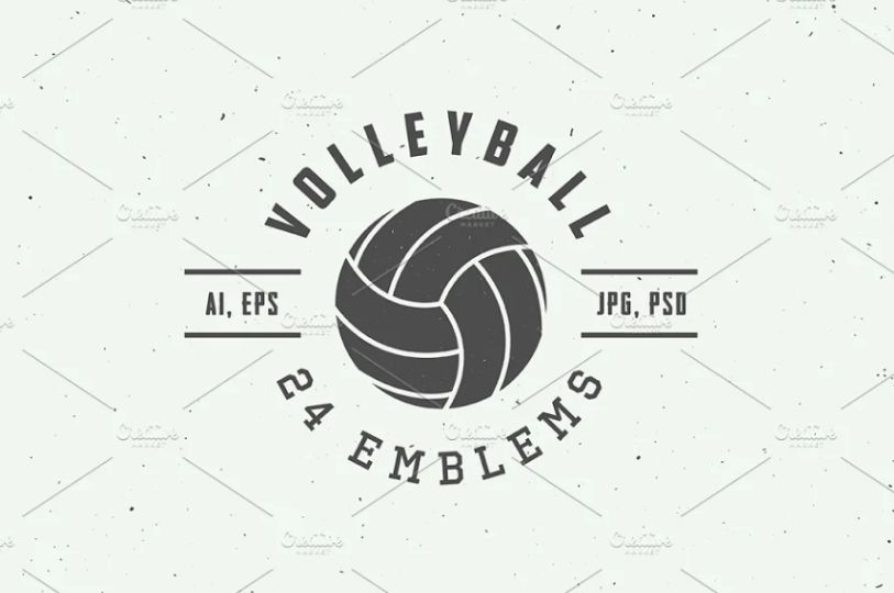 11+ Best Volleyball Logo Design Templates Download Graphic Cloud