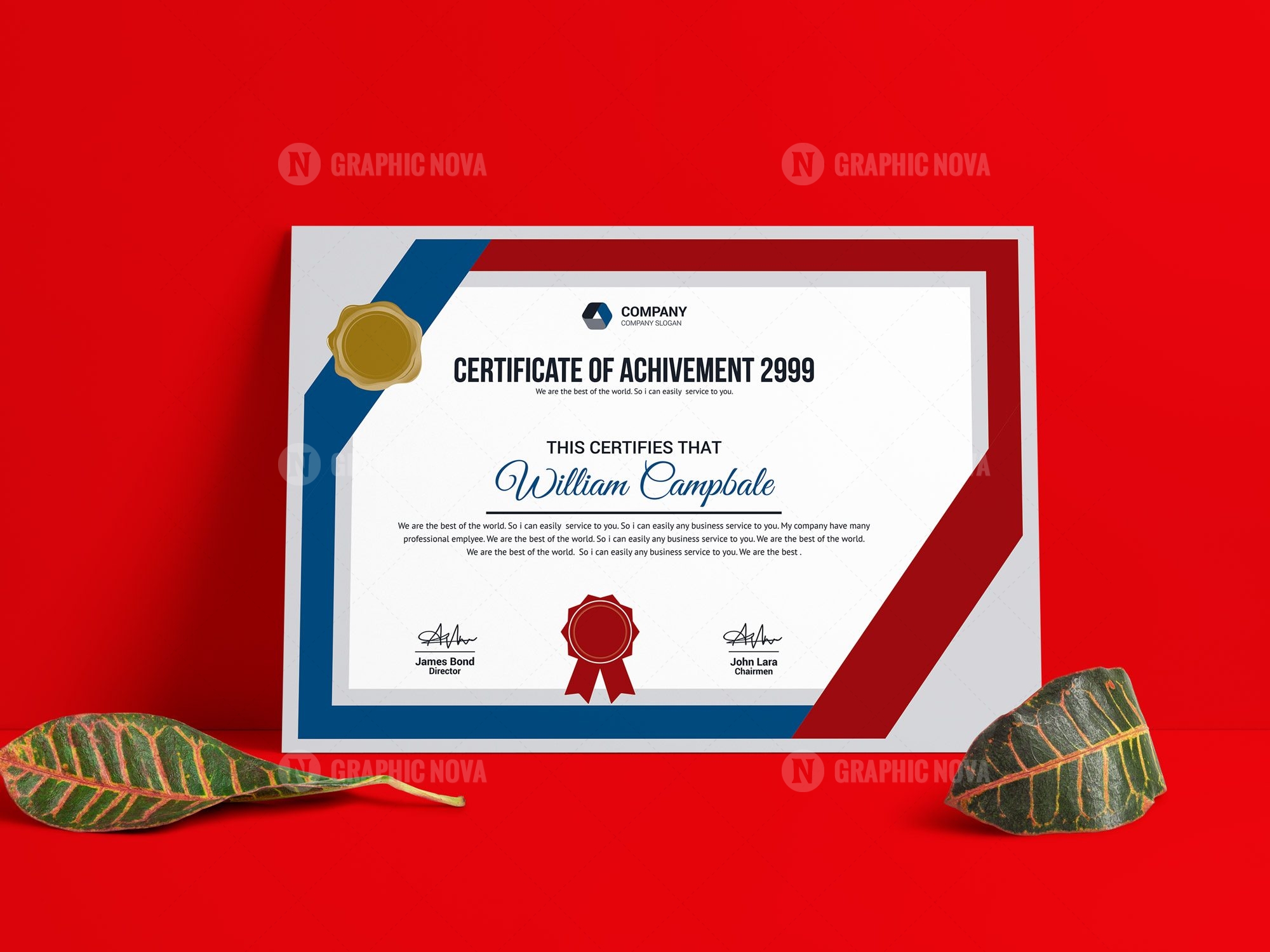 New Quality Certificate Template - Graphic Nova  Stock Graphic Store With Scroll Certificate Templates