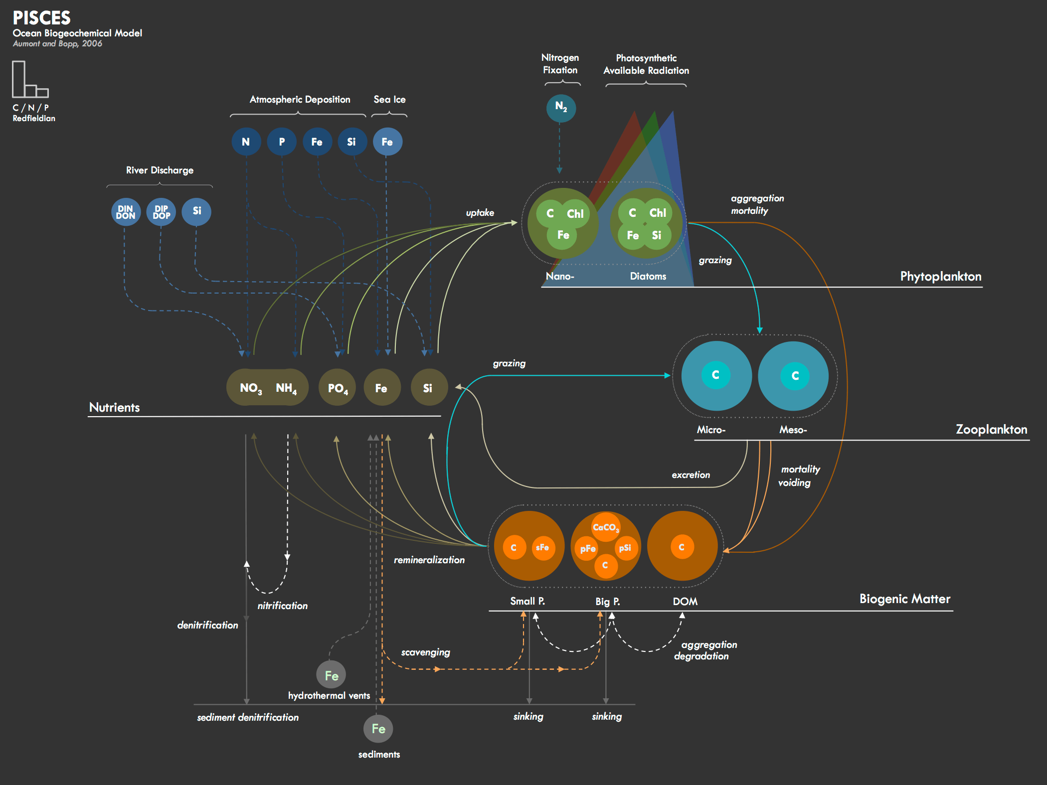 PISCES model diagram
