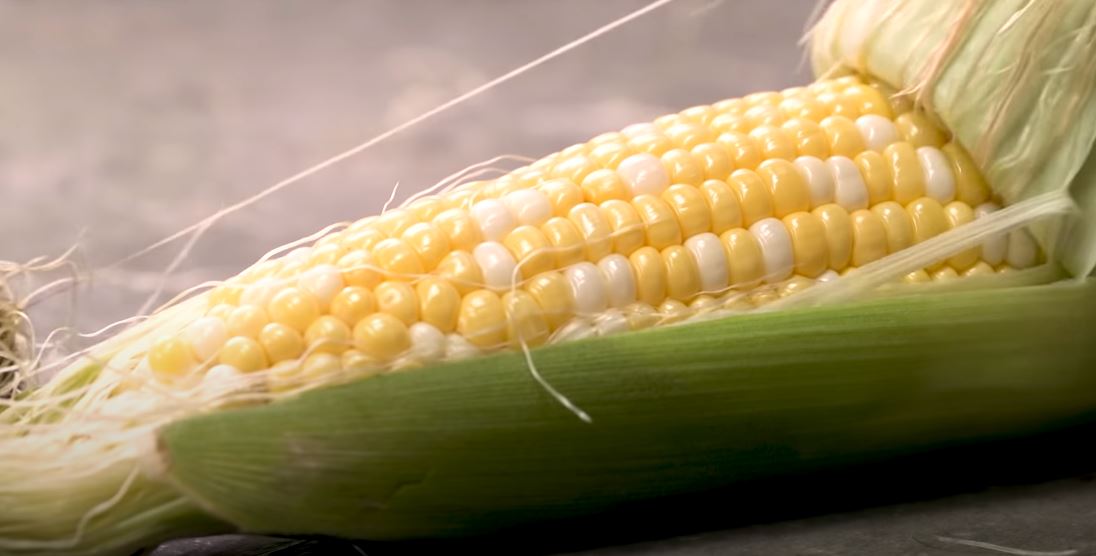 Ear of corn A complete nutritional guide to discover many health facts of corn! Graphic Recipes