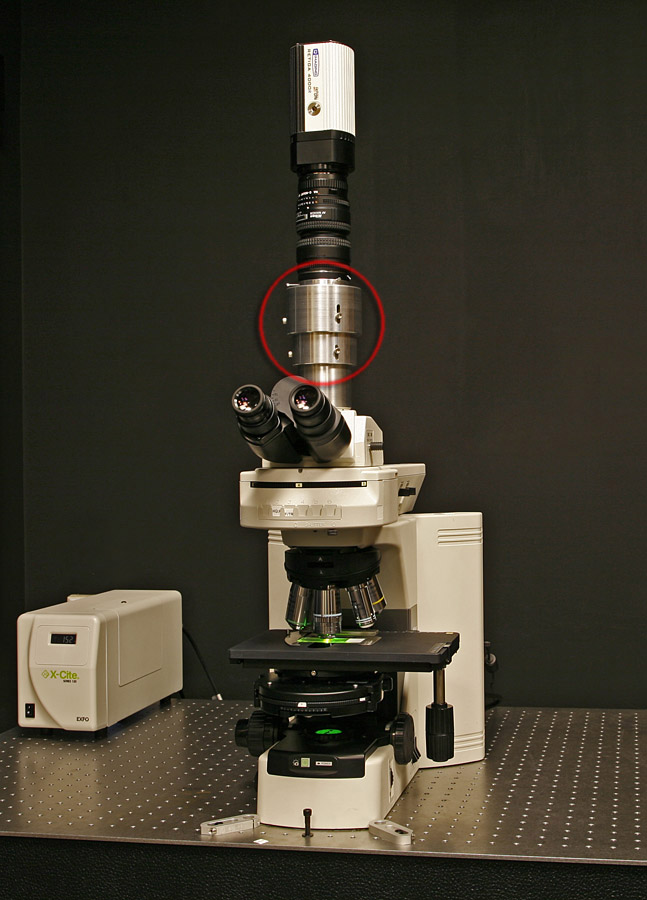 Examples of Light Field Micrographs (2007)