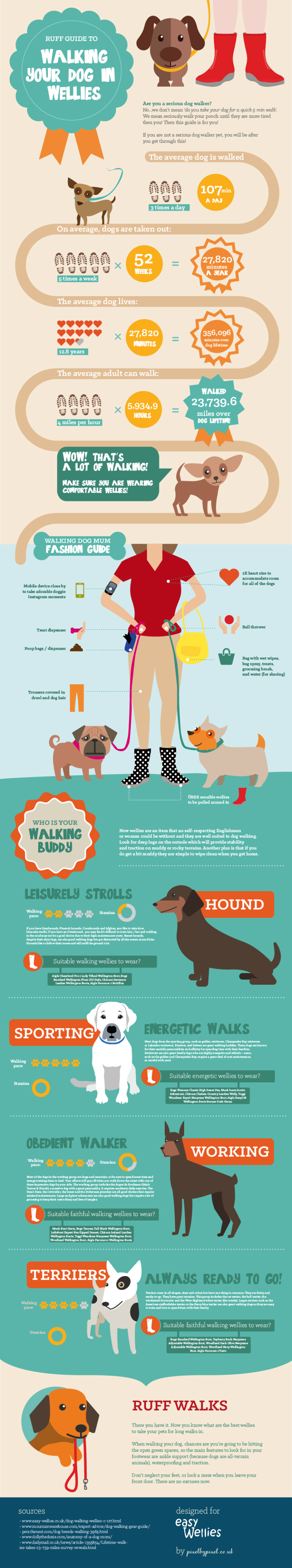 The Ultimate Dog Walking Guide Infographic