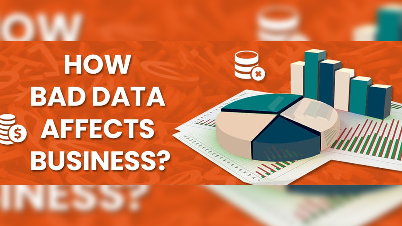 How Bad Data Affects Business? Infographic