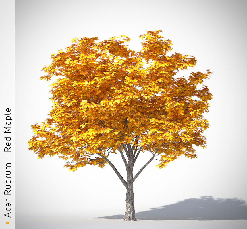 ArchiRADAR Graphisoft