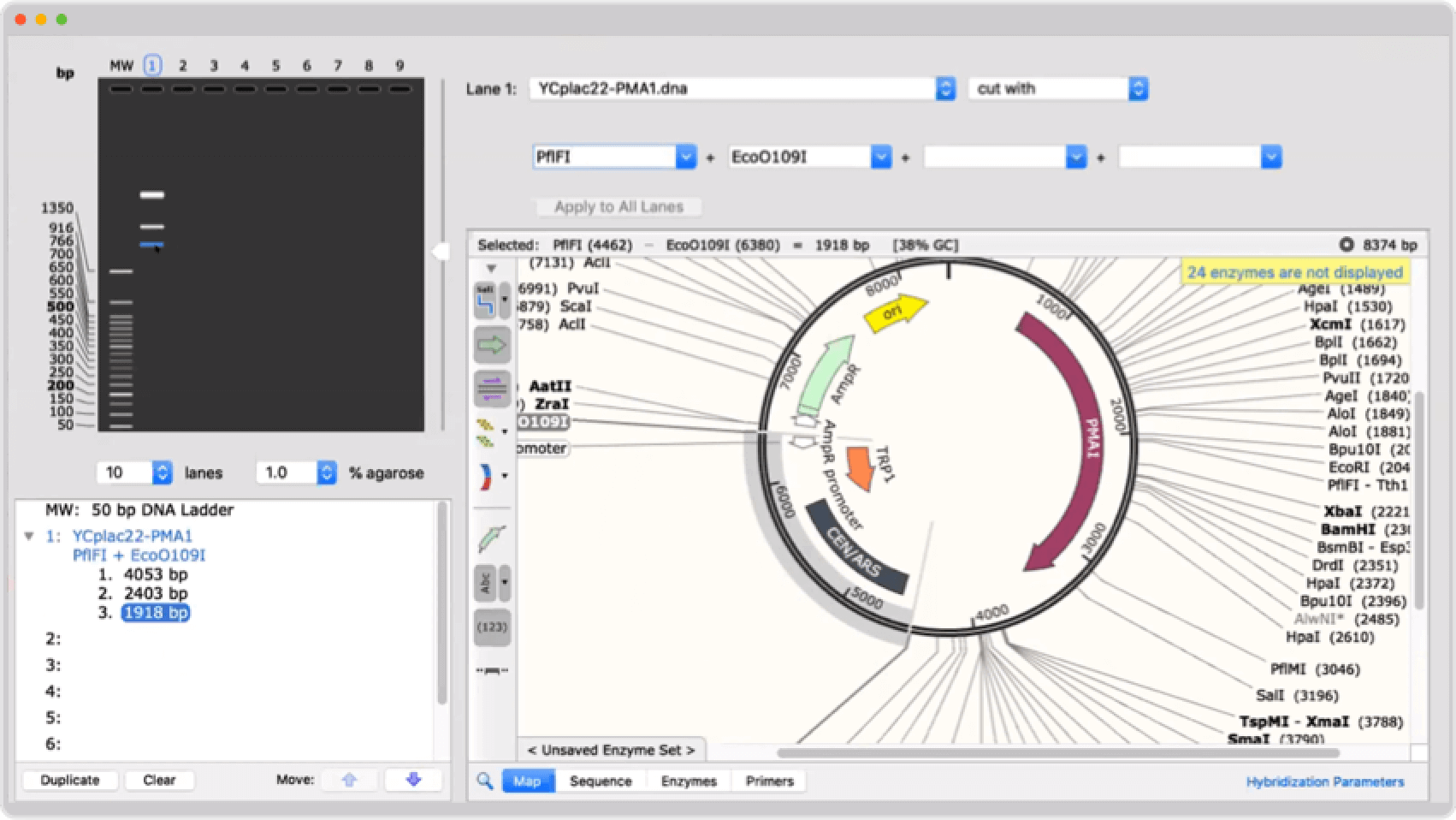 SnapGene Molecular Biology & Cloning SnapGene Software