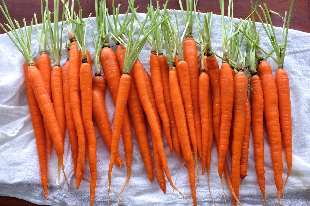 Jamie Oliver's WholeBaked Carrots Grappa Lane