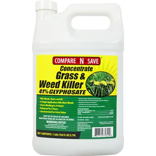 Top 5 Best Weed Killers for Lawns [February 2024 Reviews] Grass Killer