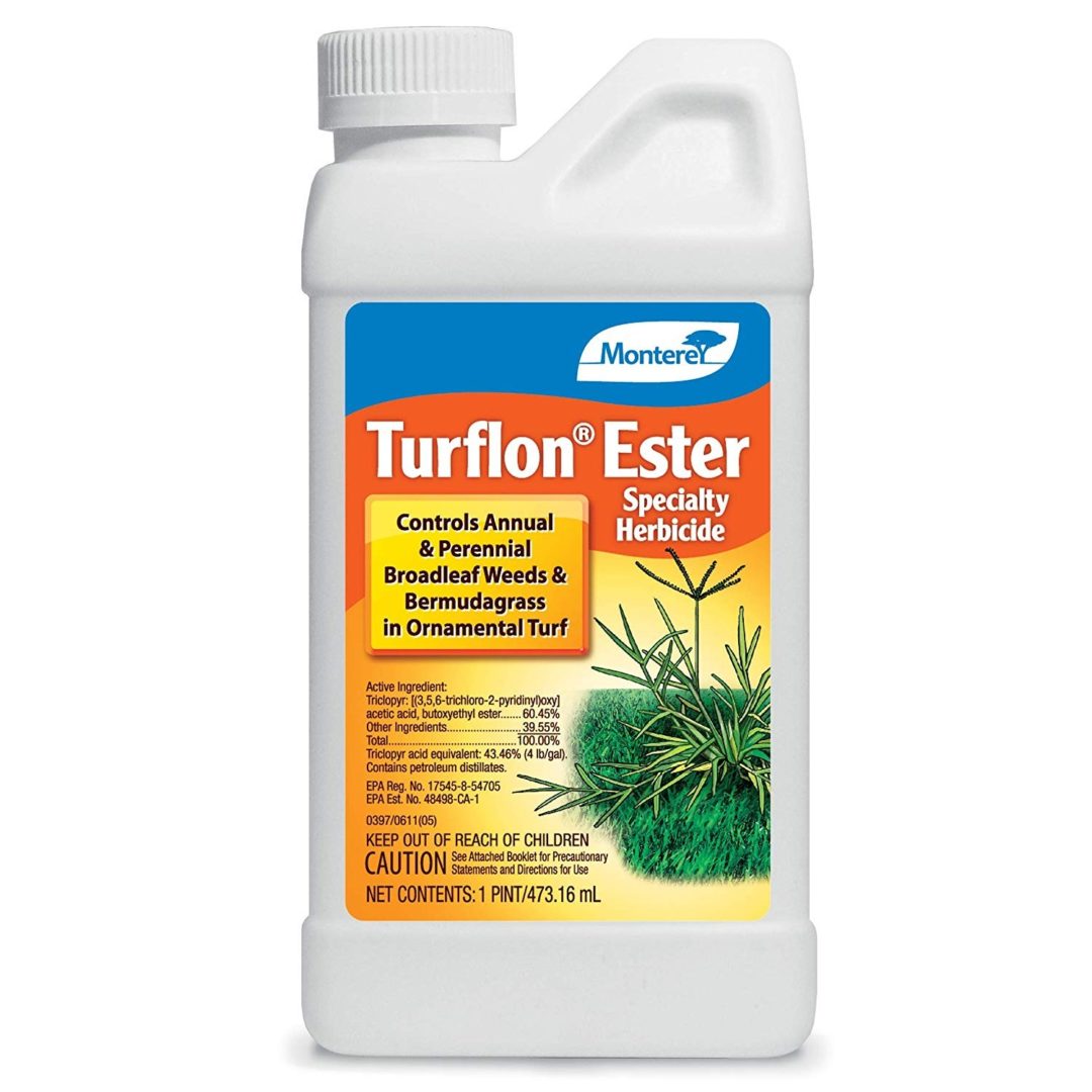 Top 5 Best Broadleaf Weed Killers [January 2024 Review] Grass Killer