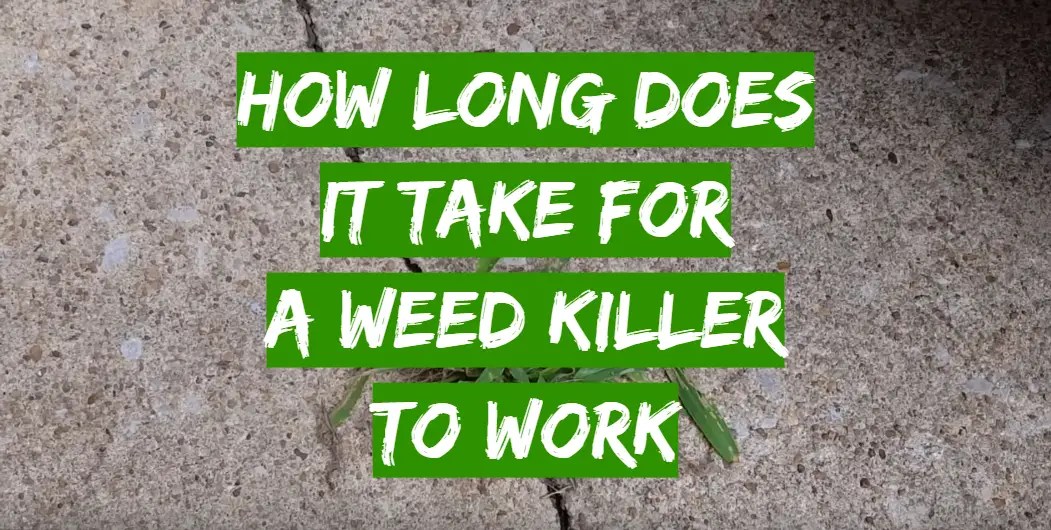 How Long Does Kaopectate Take To Work You can leave a comment by