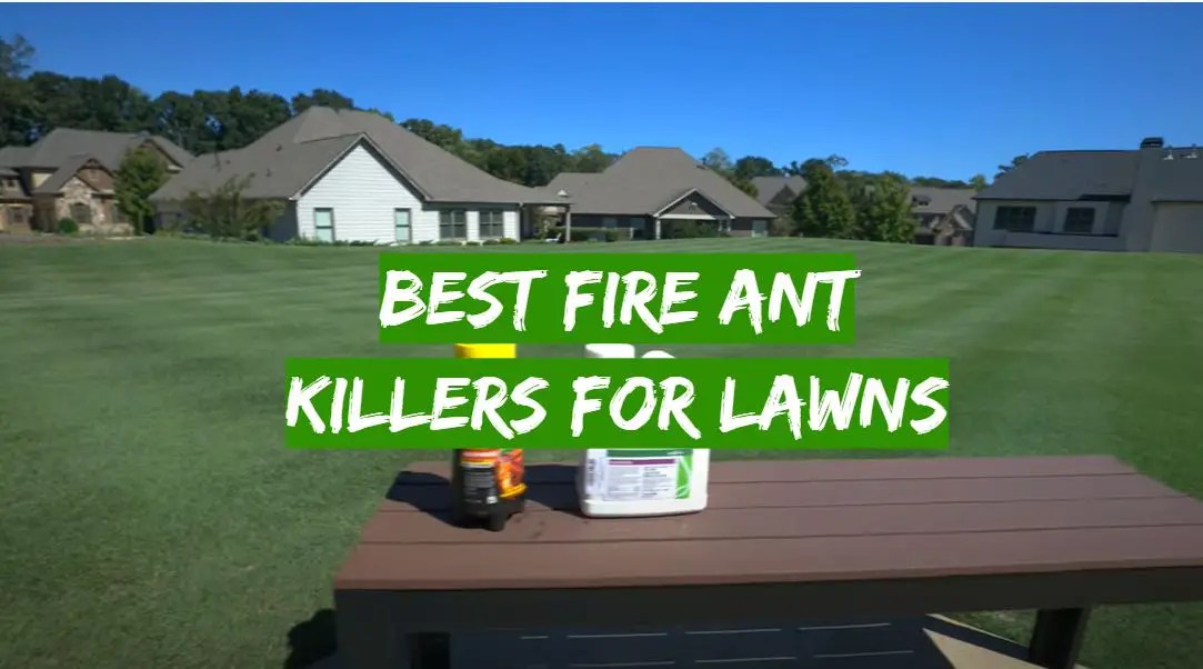Top 5 Best Fire Ant Killers for Lawns [2022 Review] Grass Killer