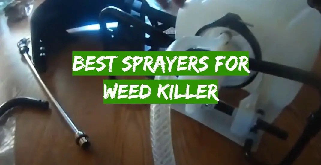 Top 5 Best Sprayers for Weed Killer [January 2024 Review] Grass Killer