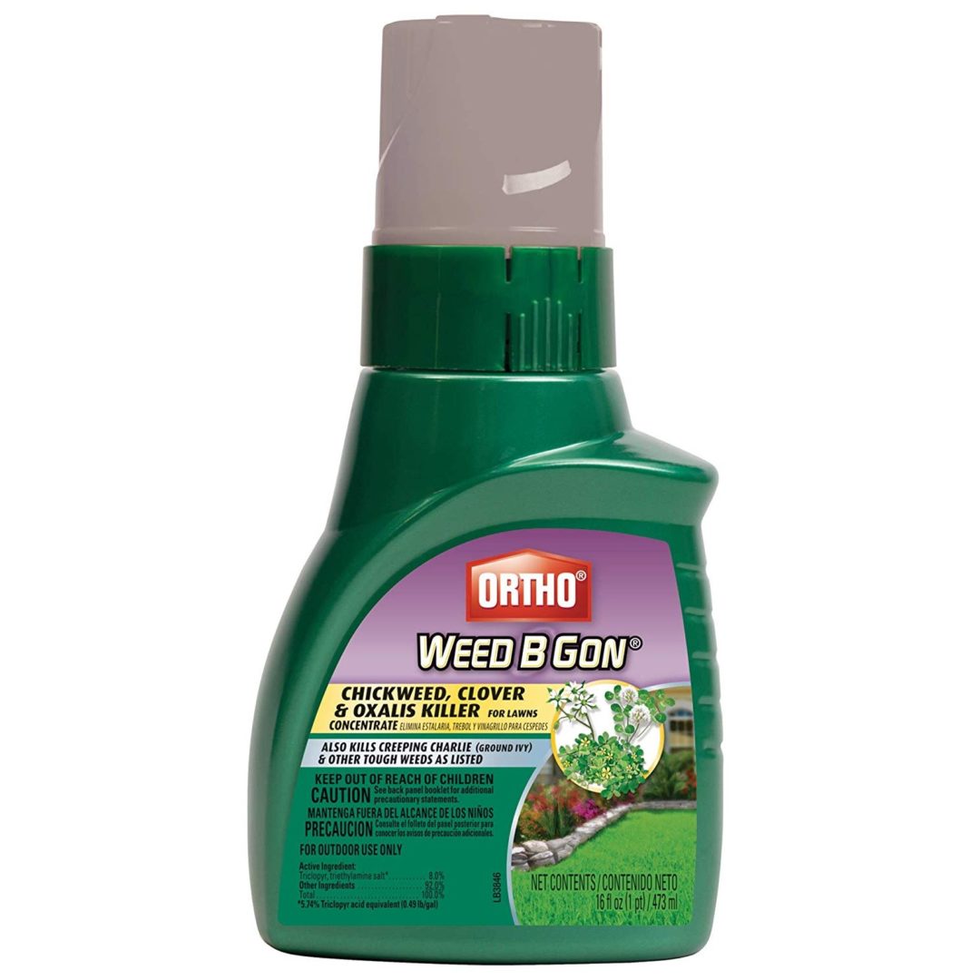 Top 5 Best Weed Killers For Creeping Charlie [August 2024 Review