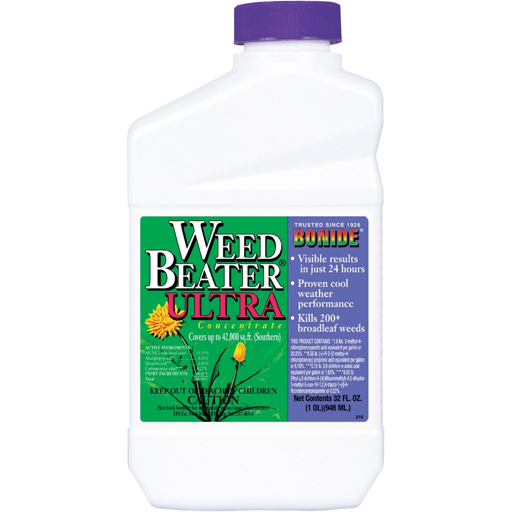 Top 5 Best Weed Killers For Creeping Charlie [August 2024 Review