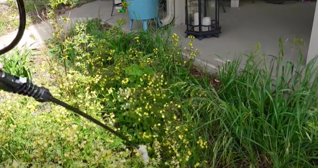 How to Kill Water Grass? Grass Killer