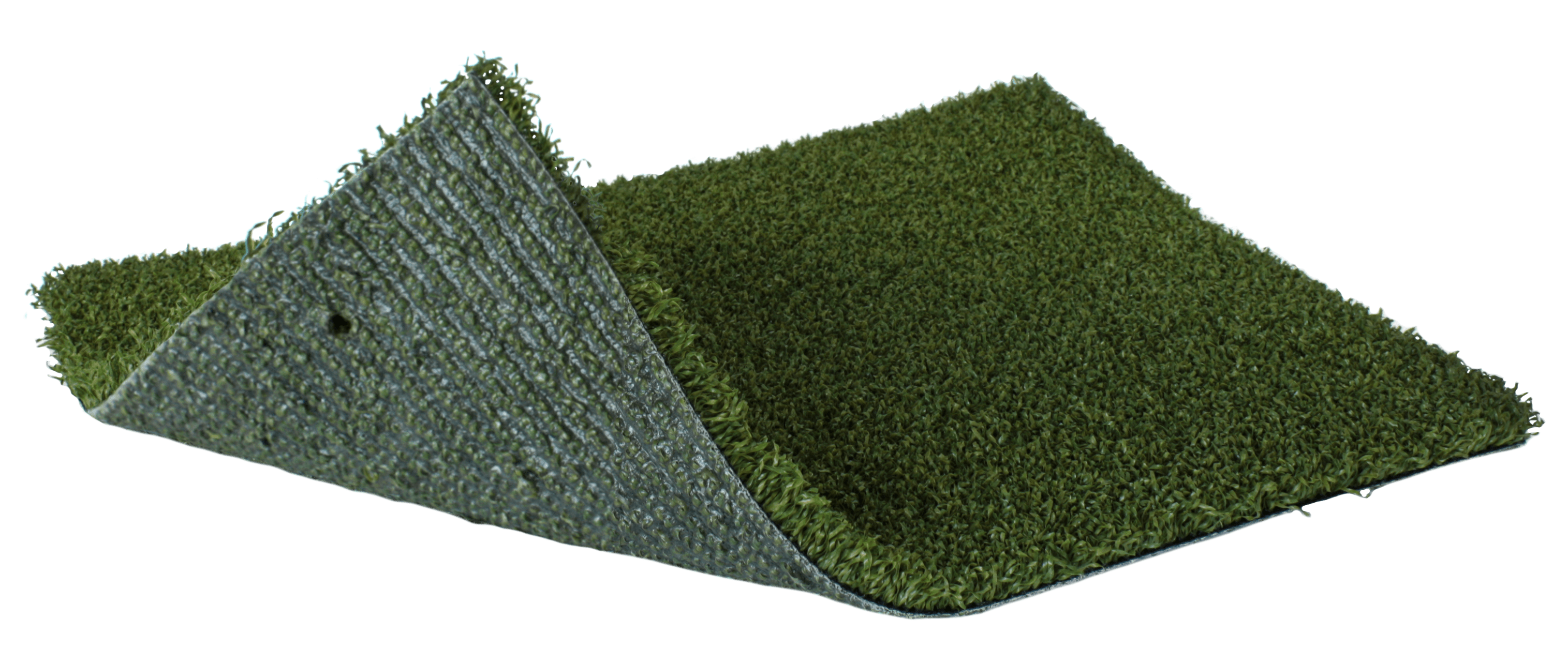 Putting Green Golf Turf Club Champion GrassTex