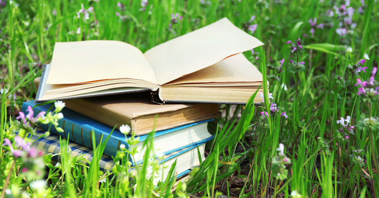 Preparing Your Lawn for Winter Grass & Flower