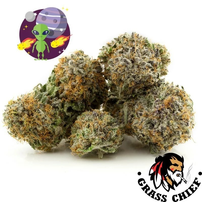 Alien OG AAA Buy Weed Online in Canada at Grass Chief