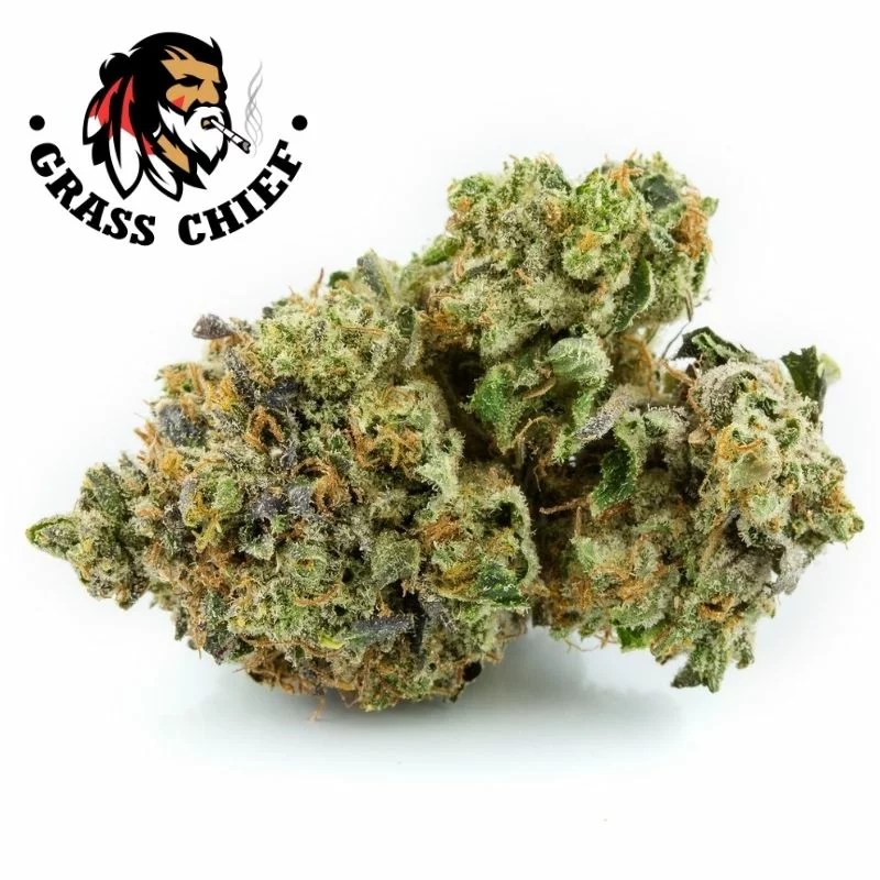 Pink Kush AAA Indica Hybrid Buy it at Grass Chief.cc