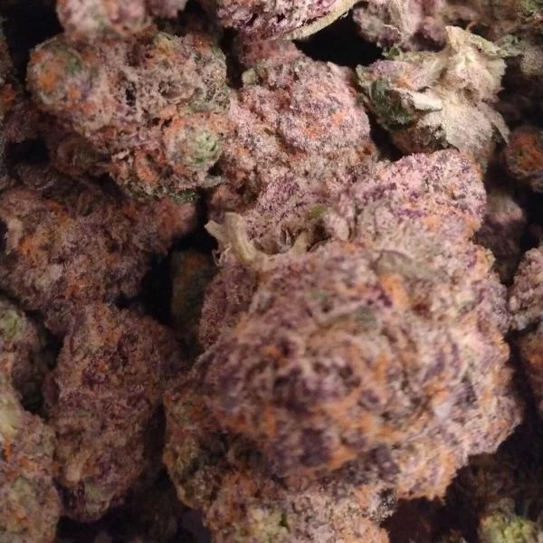 Banana OG strain Buy Online in Canada at Grass Chief