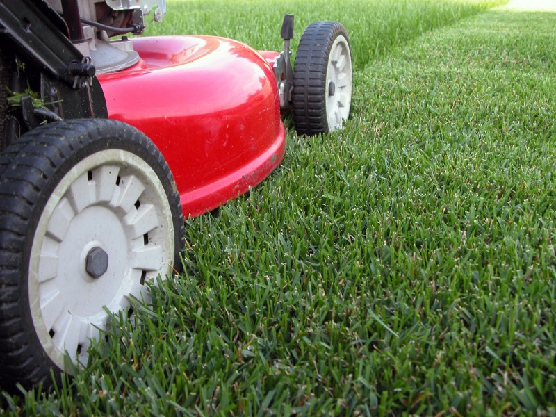 Grass Cutting and Lawn Mowing Services