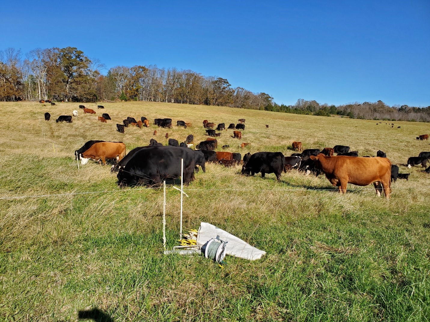 Triple Creek Journal To fertilize or not to fertilize. The Alliance