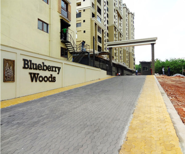 Blueberry Woods Grasslands Developers