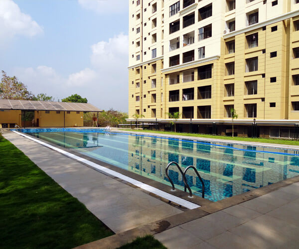 Blueberry Woods Grasslands Developers