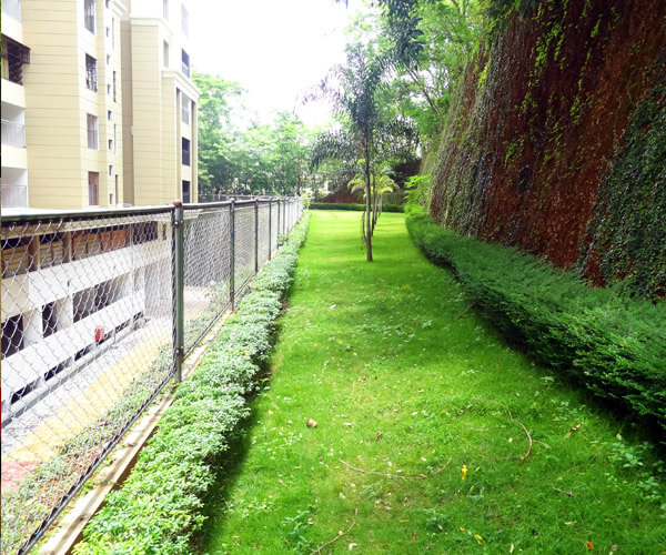 Blueberry Woods Grasslands Developers