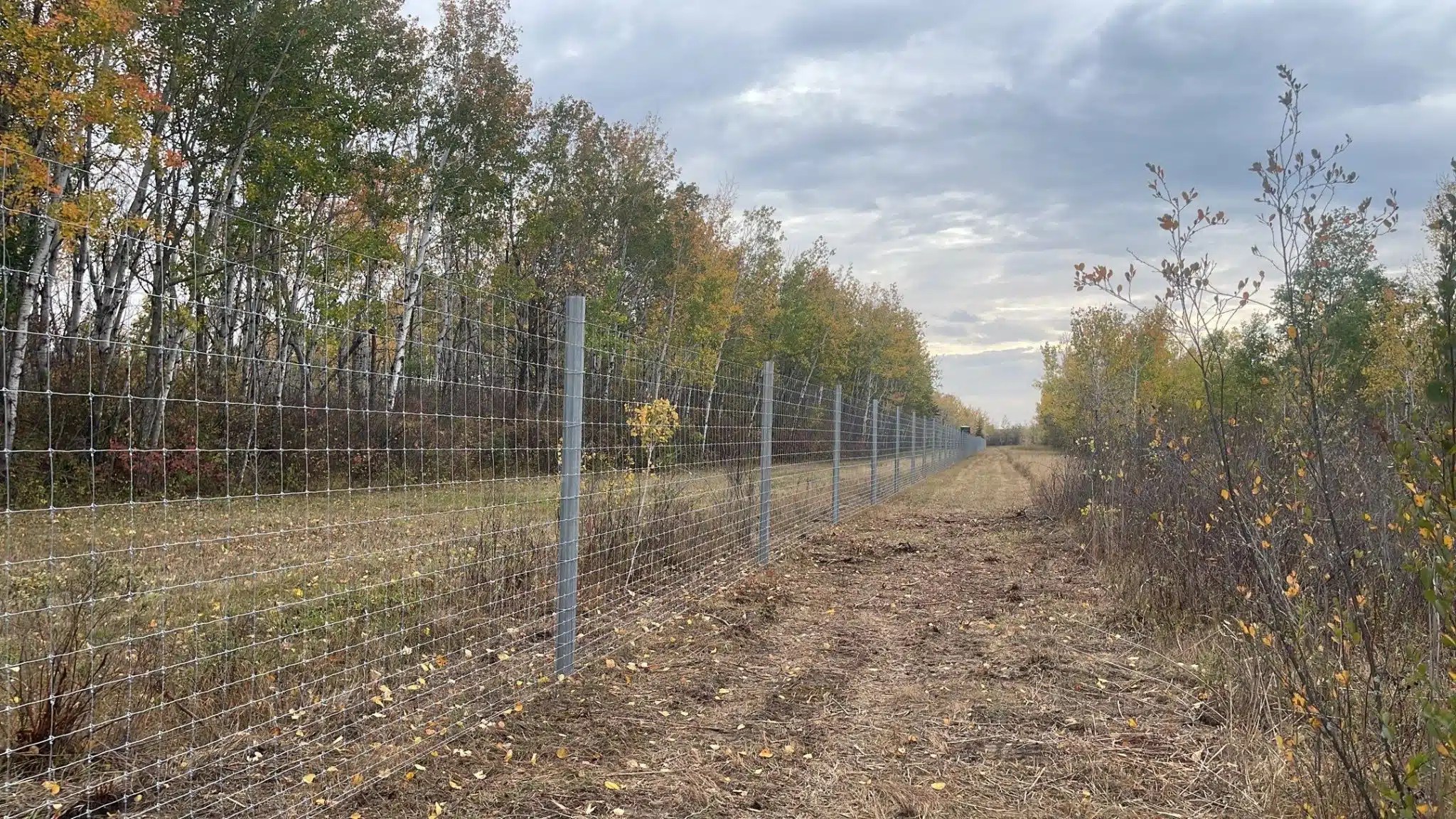Wire Fencing Grassland Solutions