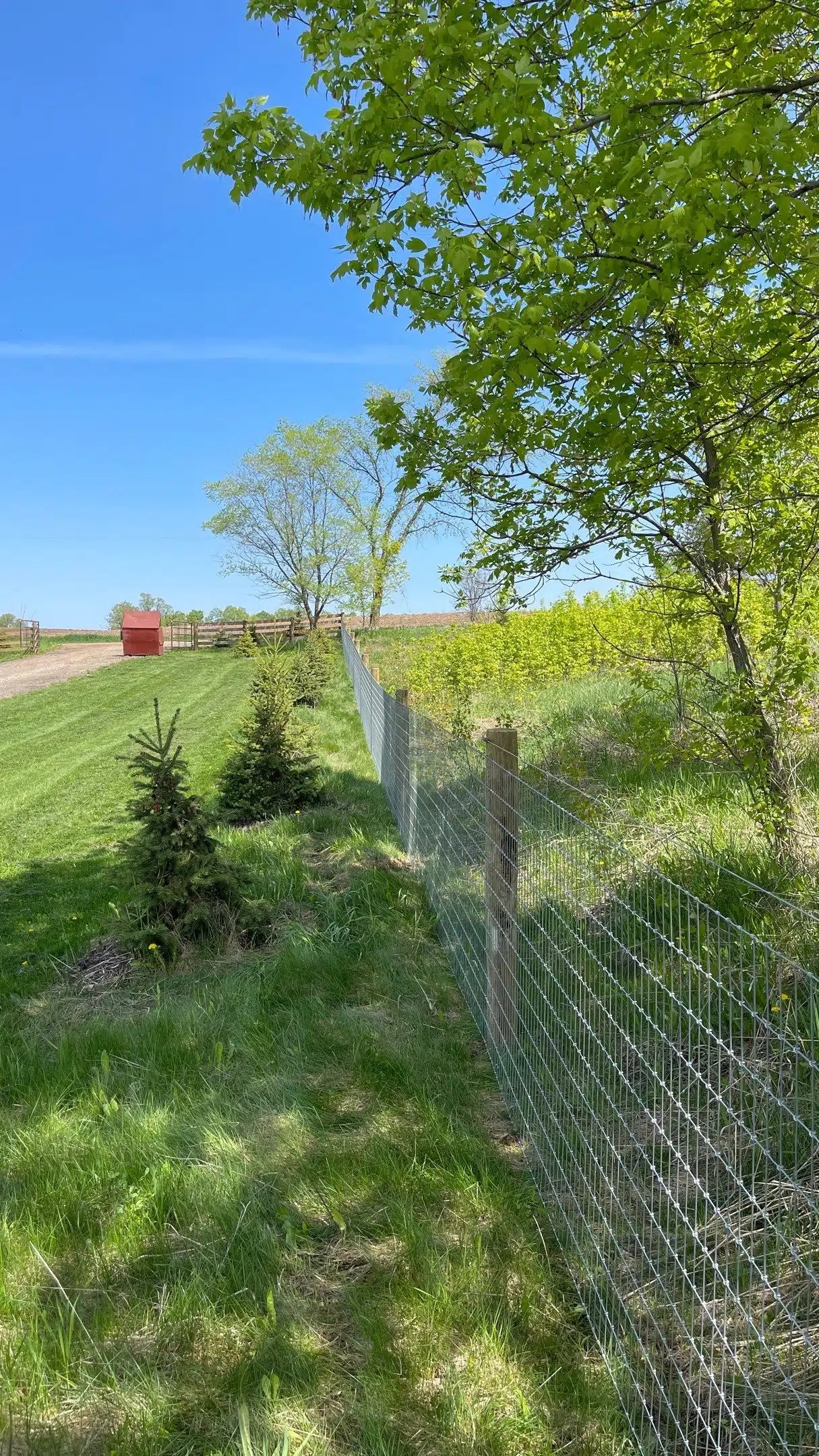 Wire Fencing Grassland Solutions