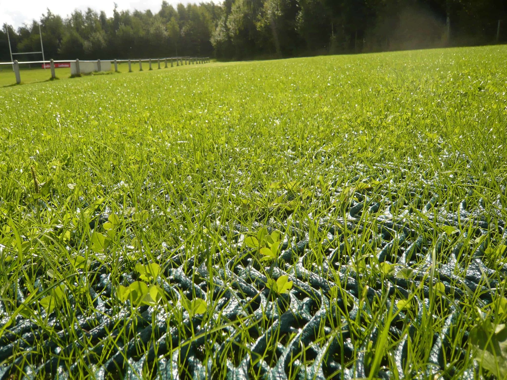 Ground Protection Mesh By GrassMats USA