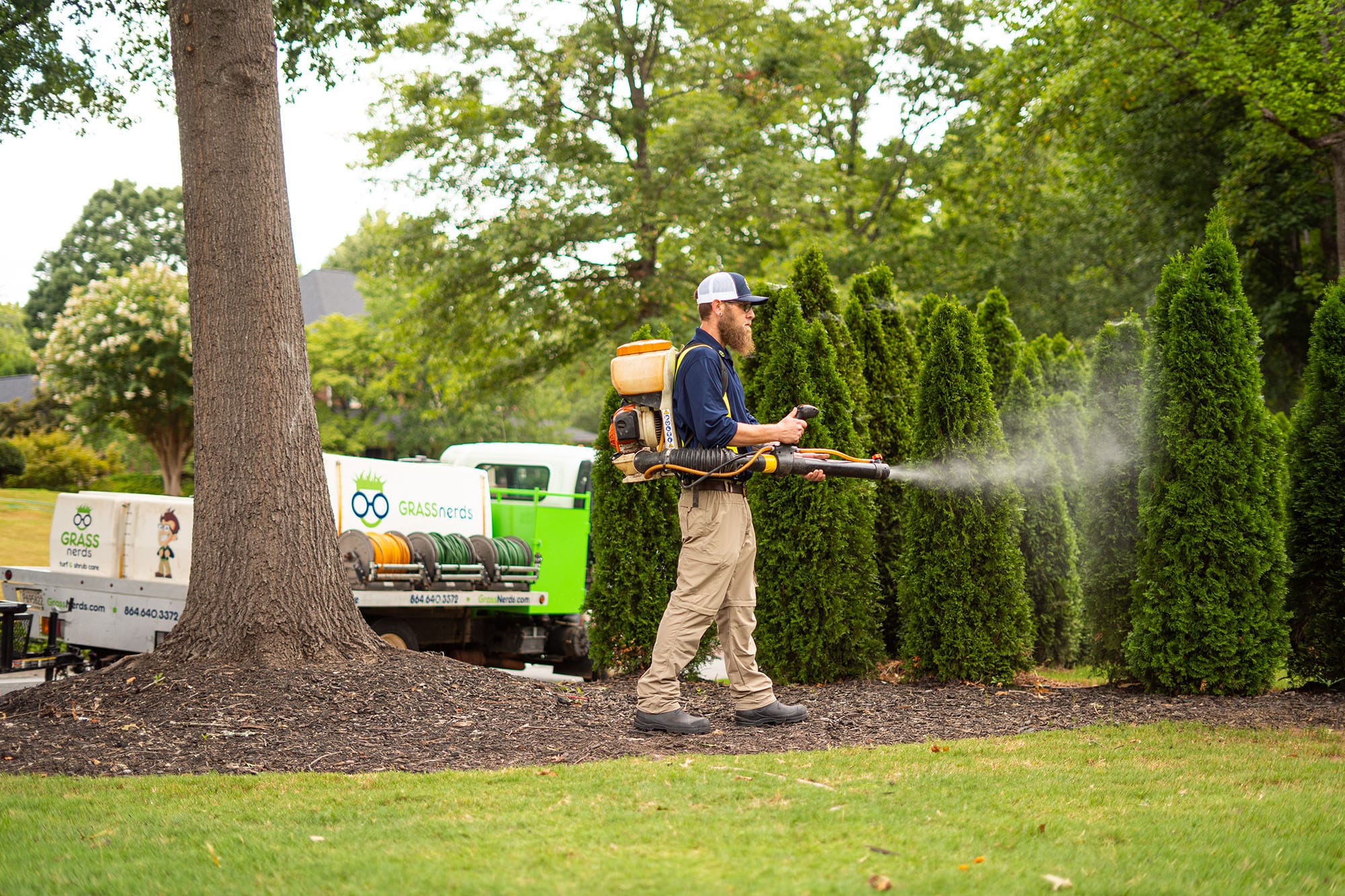 Lawn Mosquito Control in Greenville, SC Grass Nerds