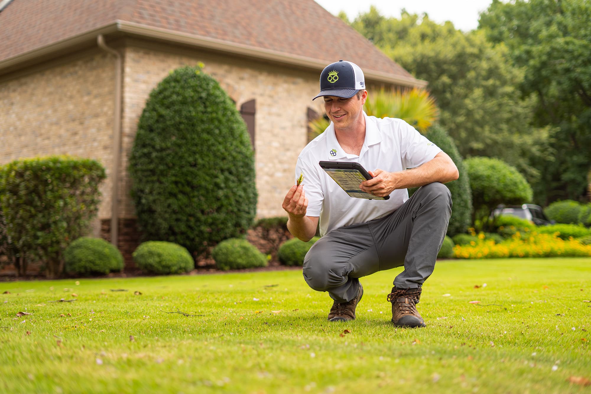 Insect Control & Pest Control in Greenville, SC Grass Nerds