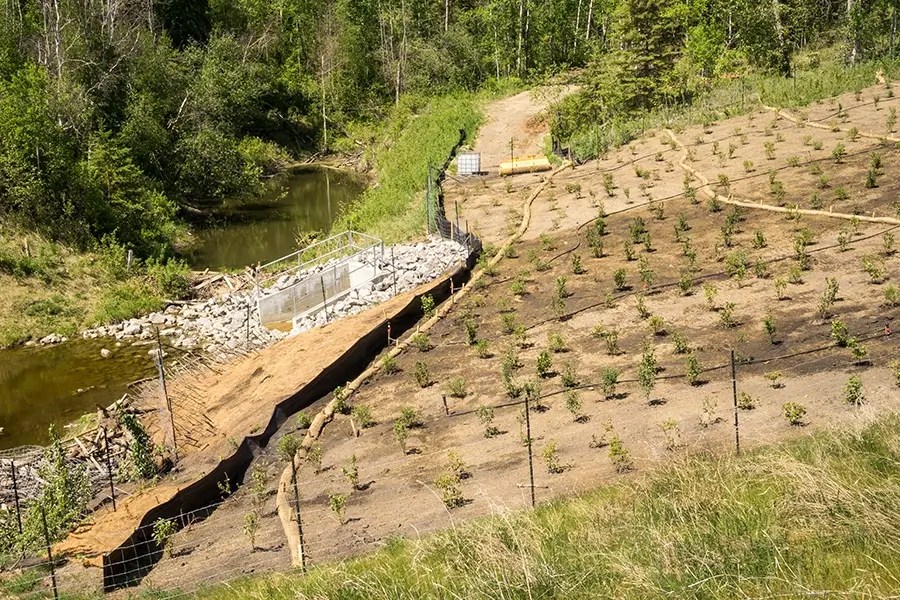 Erosion Control Colorado Grass Plus, Inc.