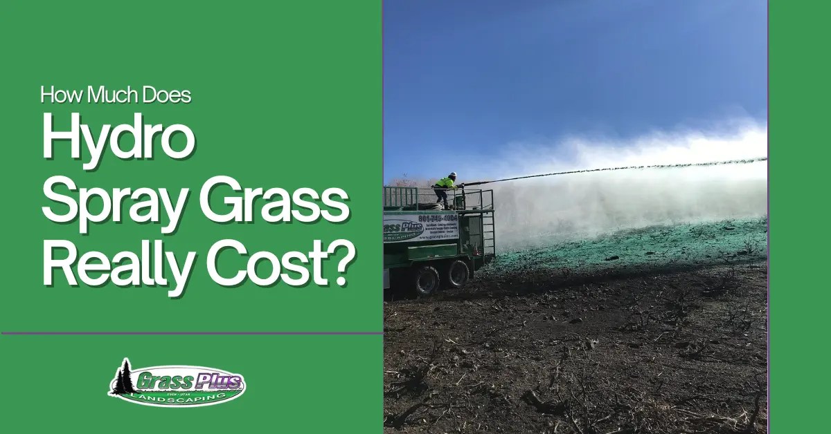 Hydro Spray Grass Really Cost? Grass Plus, Inc.