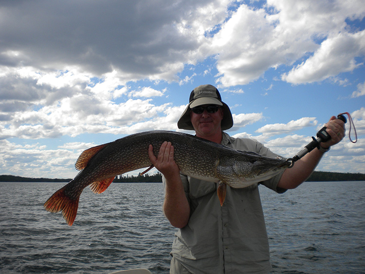 Gallery Grass River Lodge Home of the Big Northern Canadian fishing