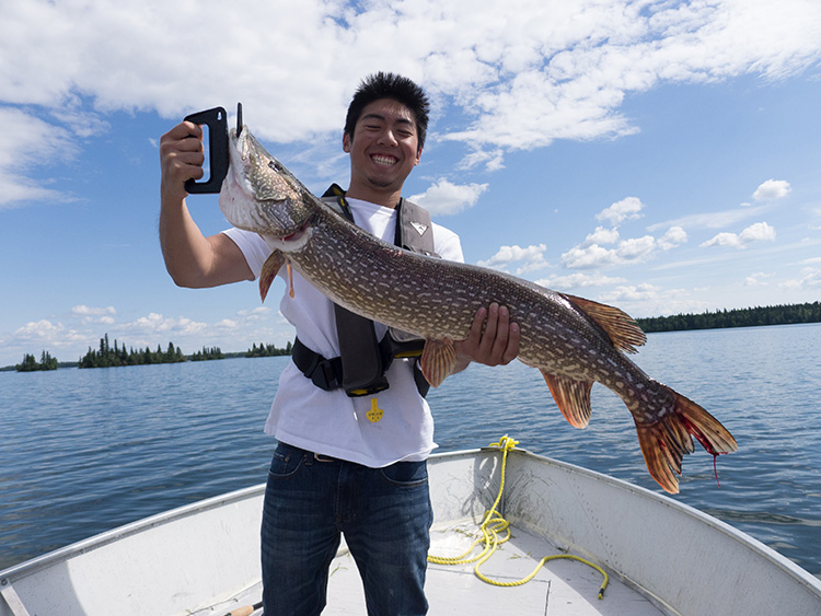 Gallery Grass River Lodge Home of the Big Northern Canadian fishing