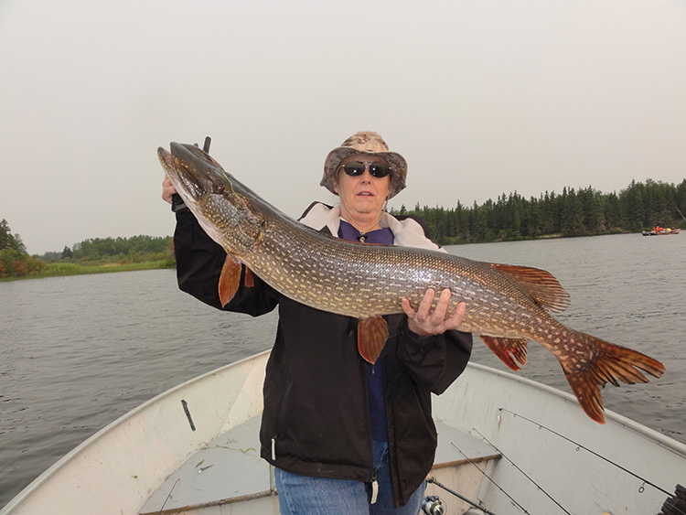 Gallery Grass River Lodge Home of the Big Northern Canadian fishing