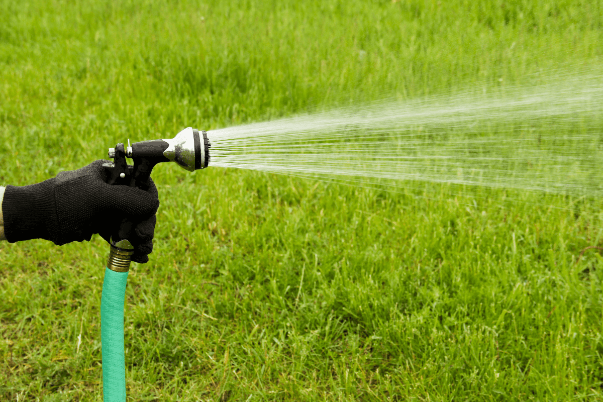 How To Clean Artificial Grass Washing, Smells, Frequency