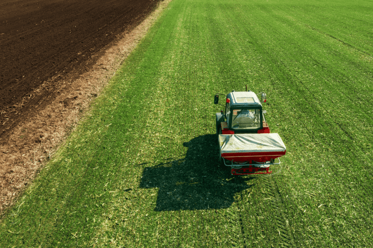 What Does Nitrogen Do For Grass? Should You Add It?