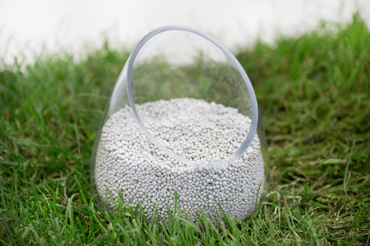 When To Fertilize New Grass Quick Optimal Results