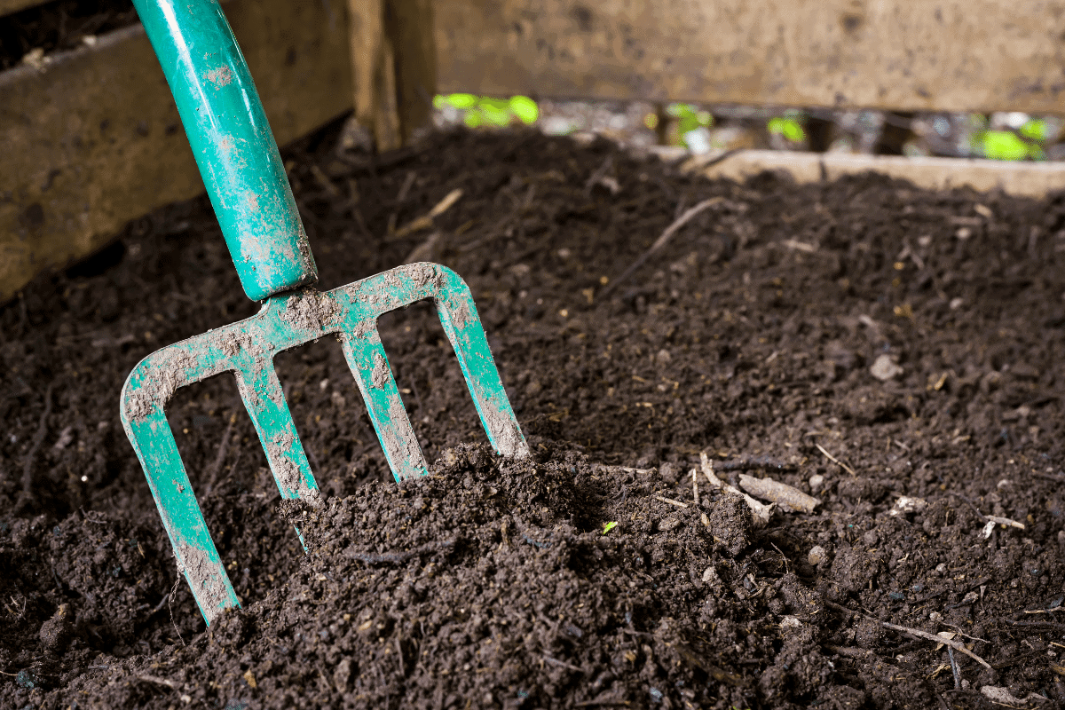 13 Best Bagged Compost High Quality And Readily Available
