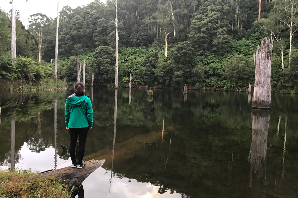 Camping In The Otways Grated Expectations