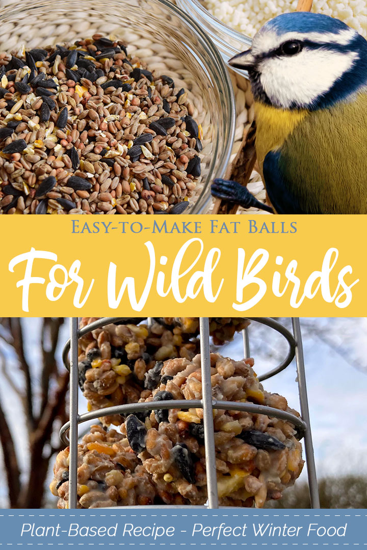 How to Make Fat Balls for Wild Birds [PlantBased and Easy!] Grateful