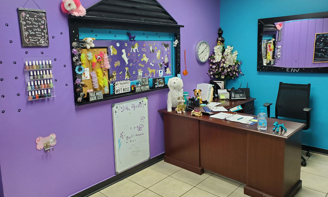 Pet Grooming in Charlotte, Belmont, Huntersville, Matthews, Mount Holly