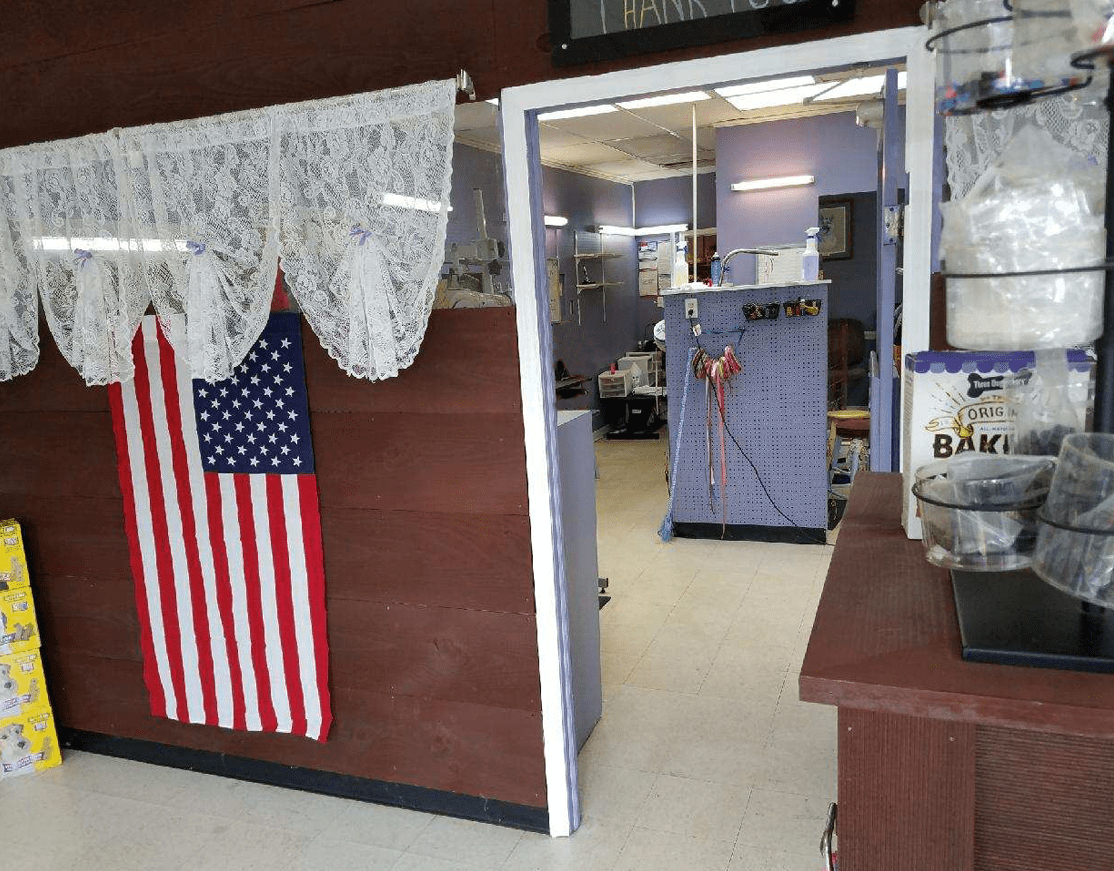 Pet Grooming in Charlotte, Belmont, Huntersville, Matthews, Mount Holly