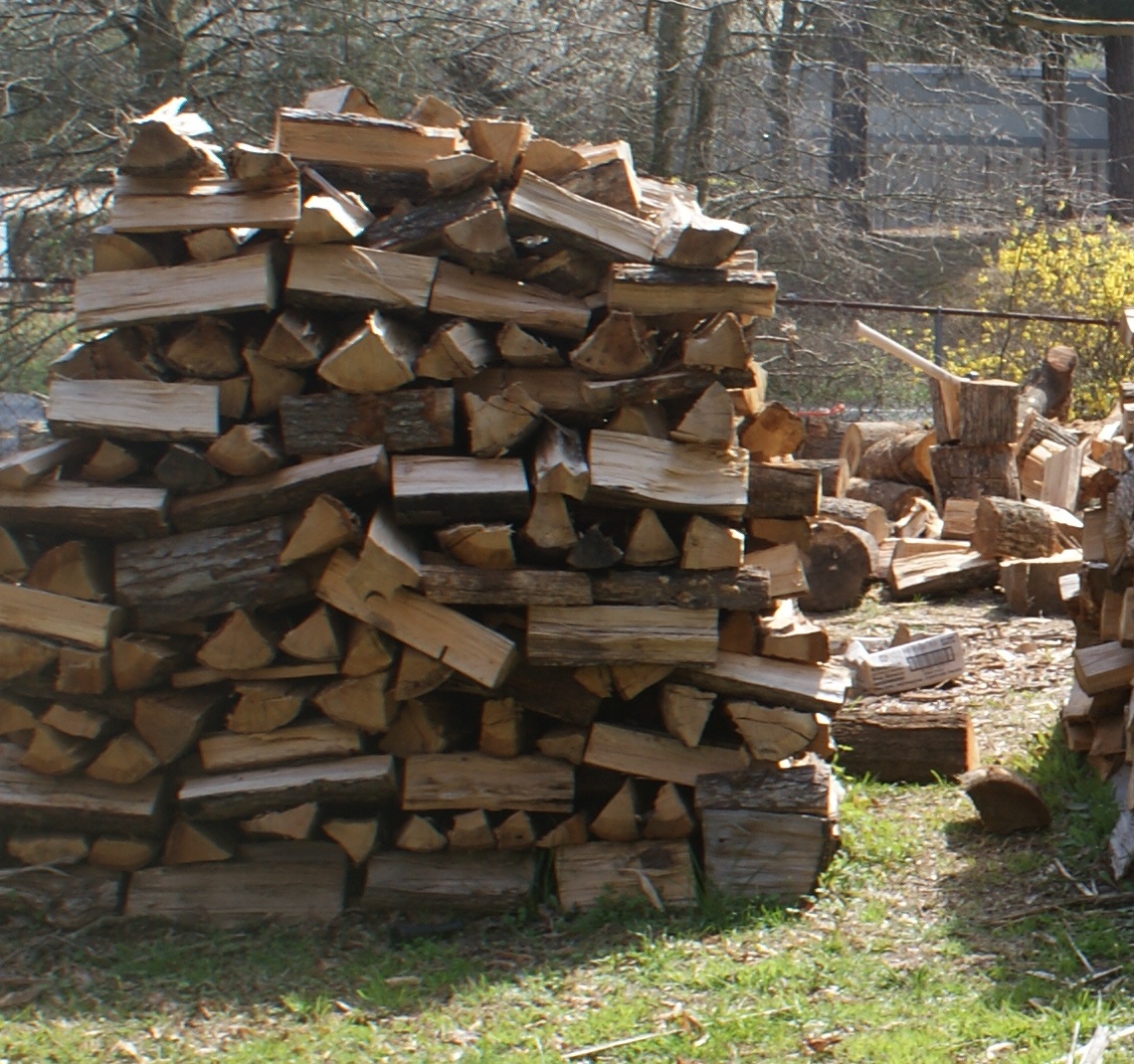 White Oak, a North Carolina Native Tree Grateful Trees & Bees