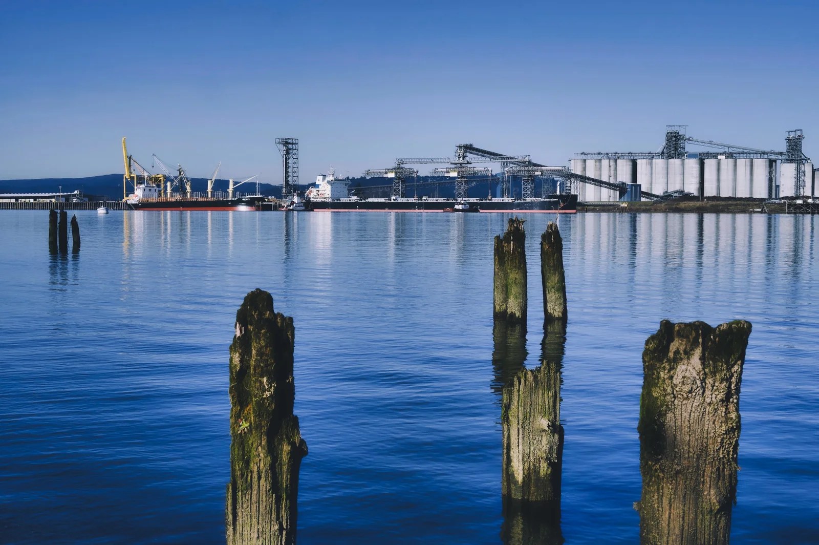 site Design Tips for Business Owners in Longview, Washington